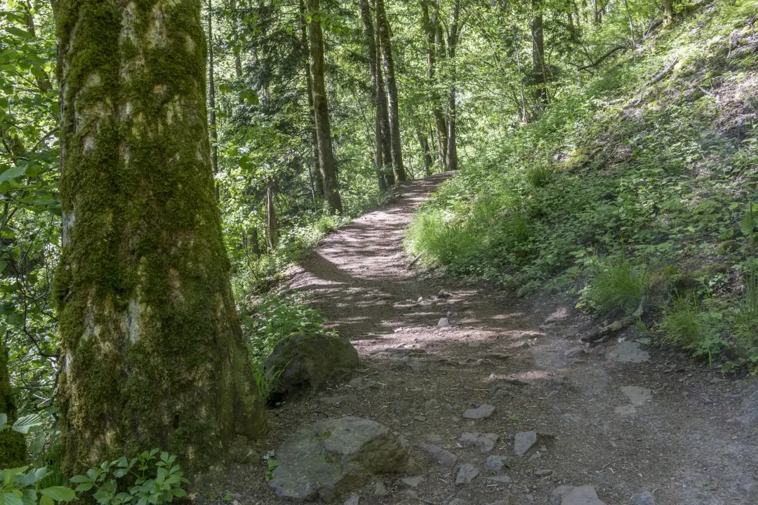 Nideck Waterfall Trail