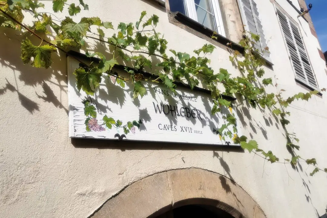 wine-tasting cellar wohleber estate andlau