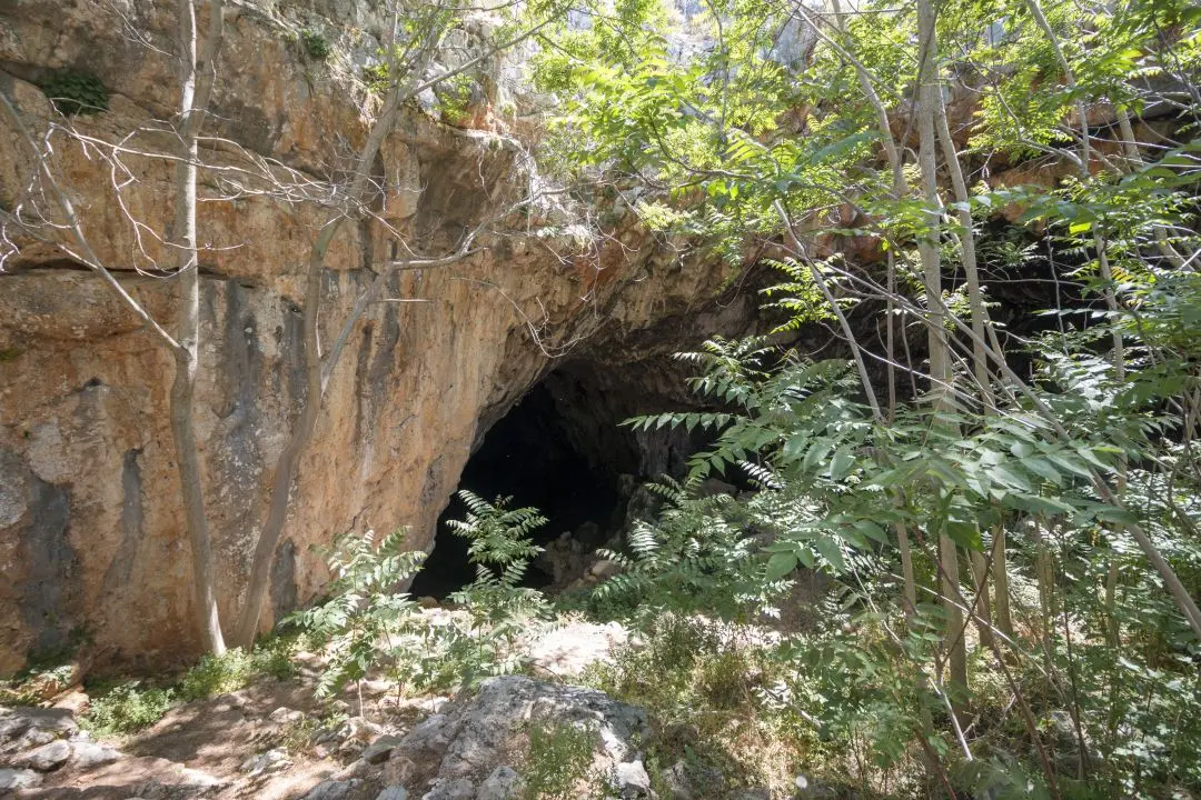 entrance to skotino cave