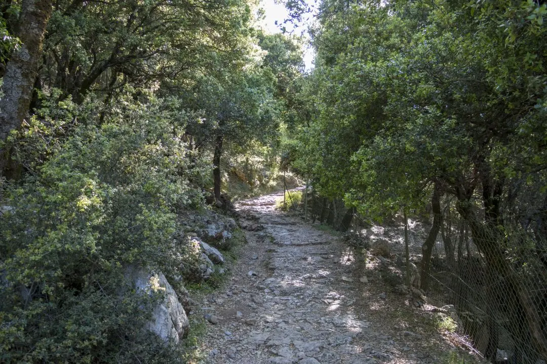 donkey path lassithi plateau