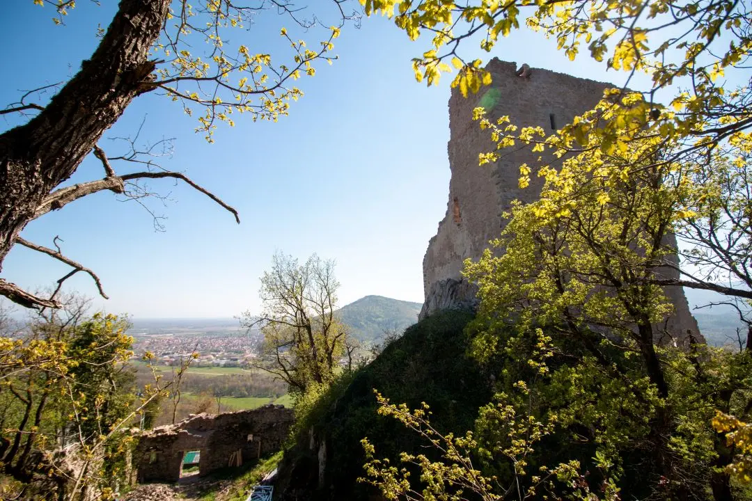 behind castle ramstein