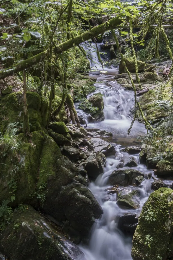 top of saint-nicolas waterfall