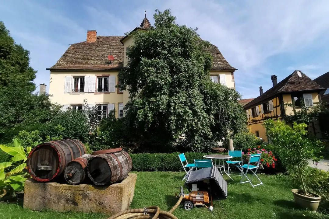 wohleber estate courtyard andlau wine tasting