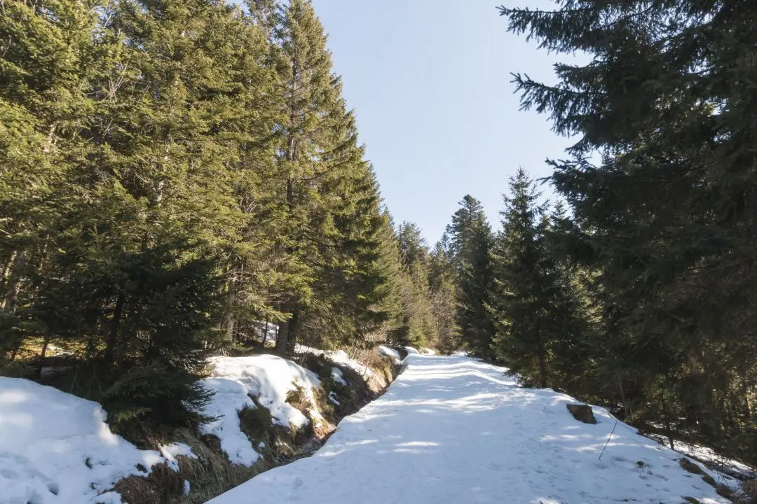 Start of the snowshoe walk