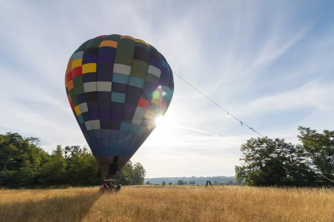 A hot air balloon in a field