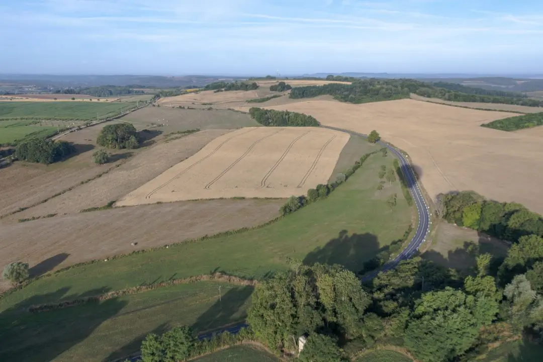 A cultivated field seen from the sky