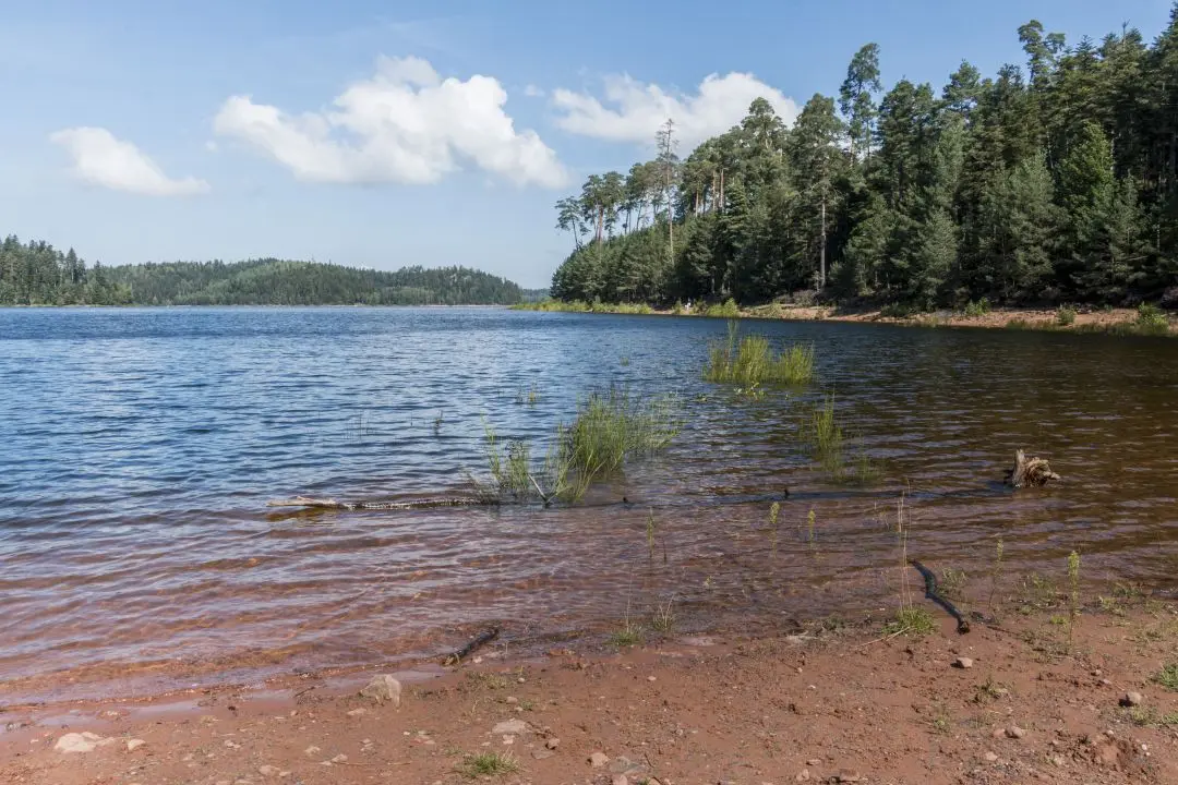 beach fine sand lake of pierre-percée