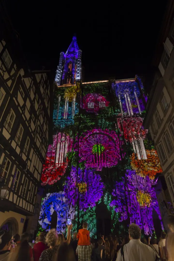 illuminations cathedral strasbourg 2020