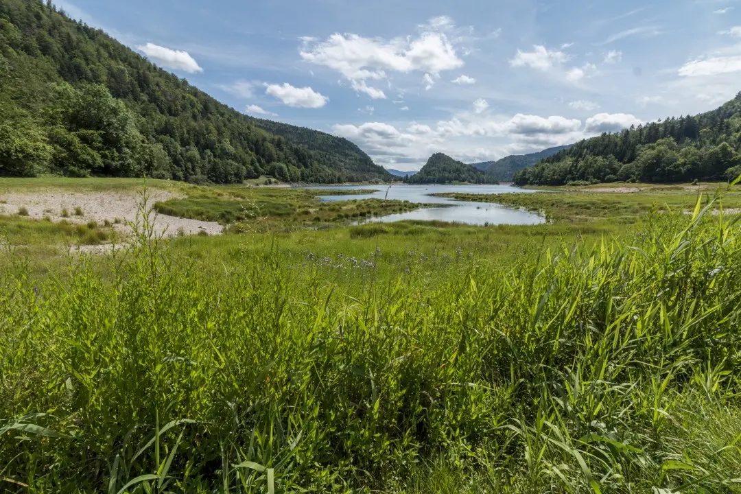 back of lake kruth wildenstein