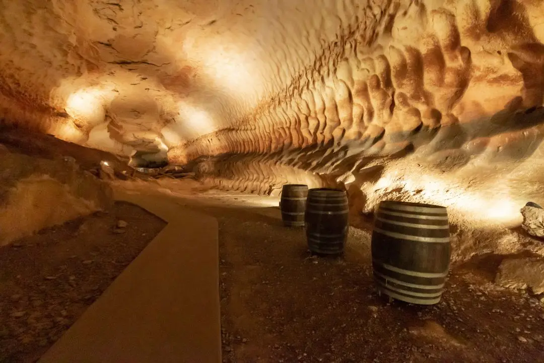 concretion cave madeleine shaped tiramisu