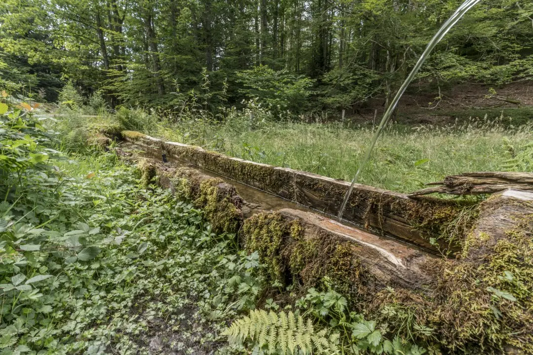 fountain path waterfall heidenbad