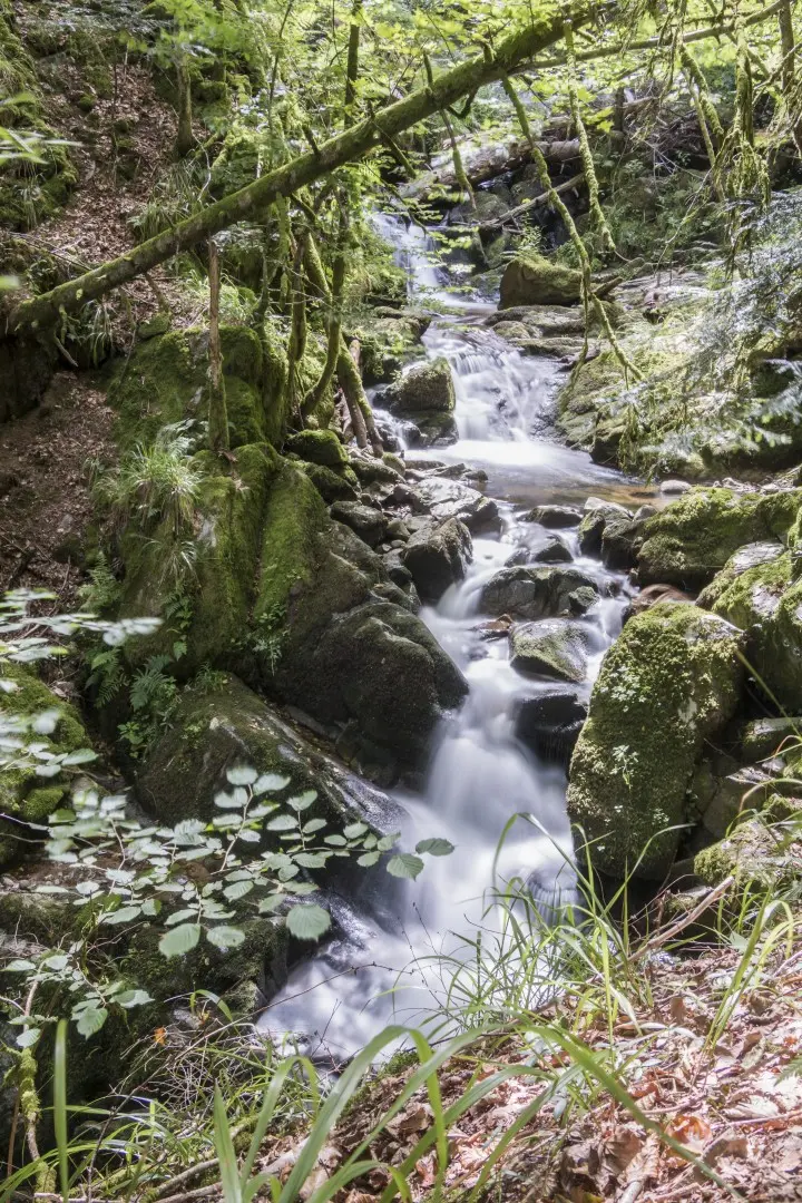 top of saint-nicolas waterfall