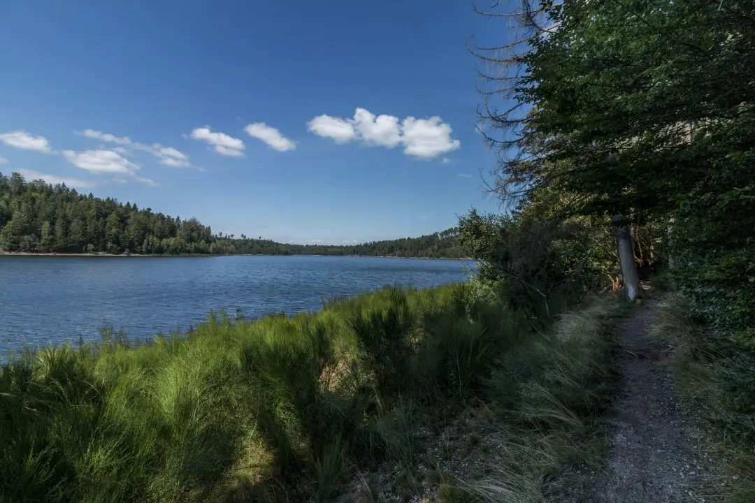 Pierre-Percee lake path