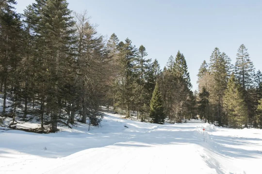 Passage to the foot of the slopes